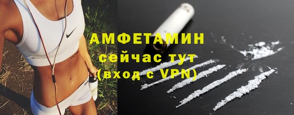 шишки Горняк