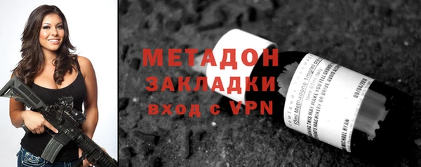 шишки Горняк