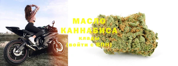 шишки Горняк