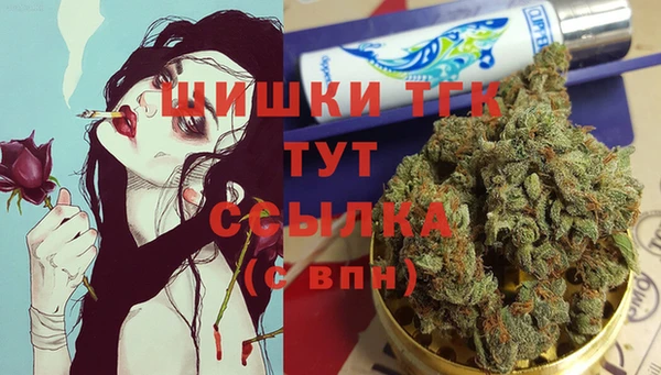 ГАЛЛЮЦИНОГЕННЫЕ ГРИБЫ Горно-Алтайск