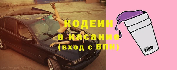 шишки Горняк