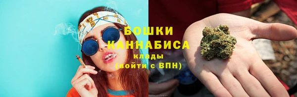 ГАЛЛЮЦИНОГЕННЫЕ ГРИБЫ Горно-Алтайск