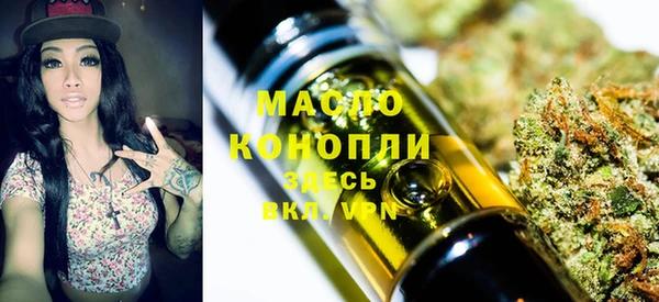 шишки Горняк