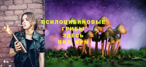кокаин премиум Горнозаводск