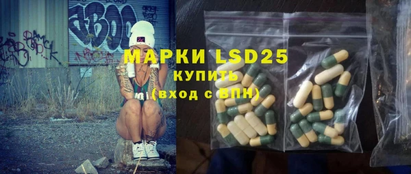 ГАЛЛЮЦИНОГЕННЫЕ ГРИБЫ Горно-Алтайск