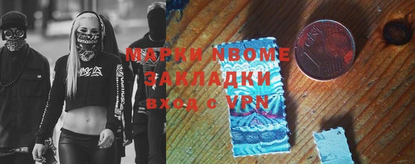 шишки Горняк