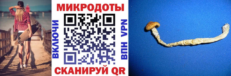 Галлюциногенные грибы GOLDEN TEACHER  купить наркоту  Курганинск 