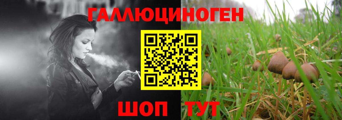 Курганинск  Галлюциногенные грибы ЛСД  Вход с VPN  Псилоцибиновые грибы прущие грибы 