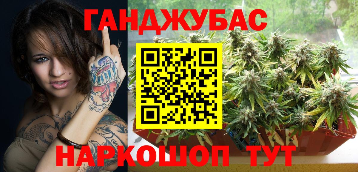 Конопля сатива Курганинск